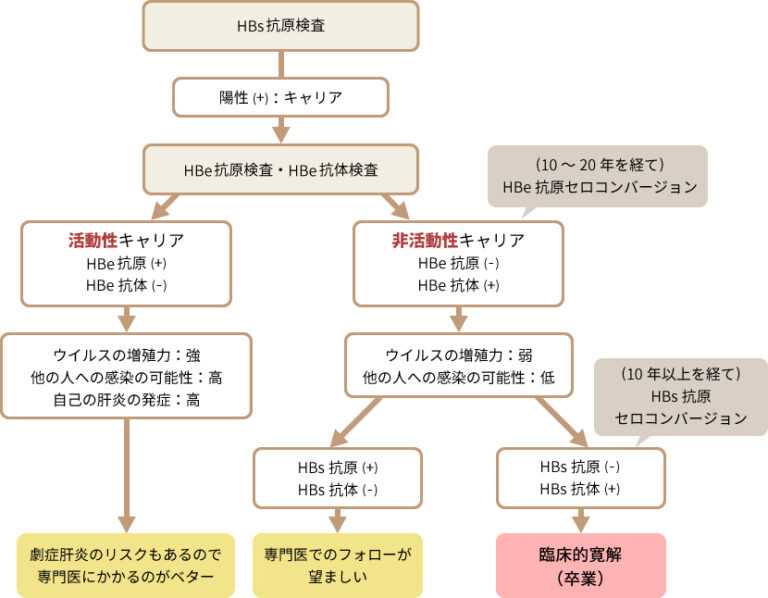 キャリアはB型肝炎を他の人に移す可能性がありますか?